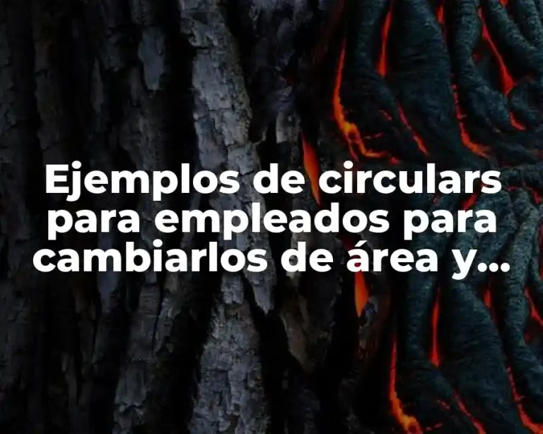 Ejemplos de circulars para empleados para cambiarlos de área y Significado