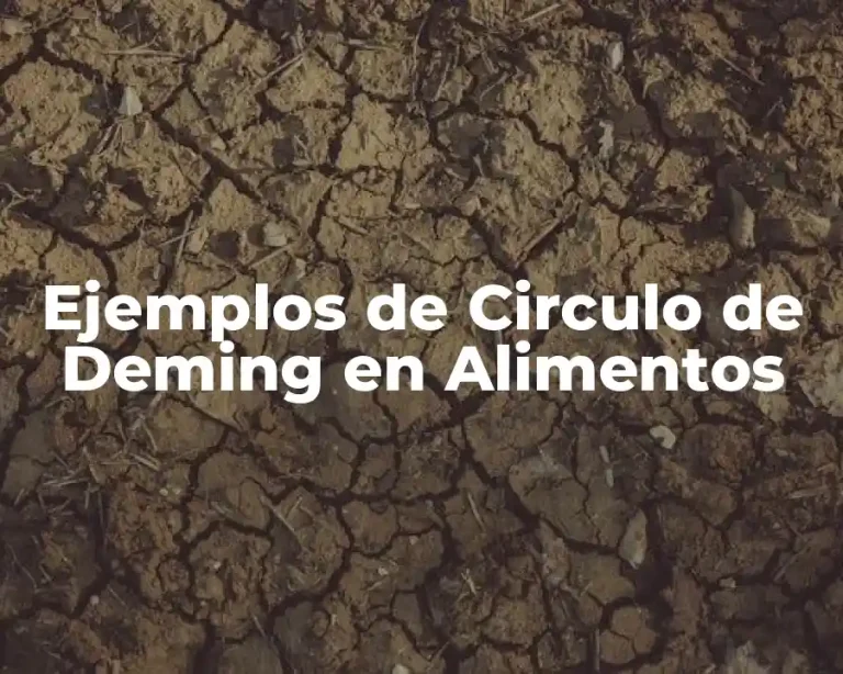 Ejemplos de Circulo de Deming en Alimentos