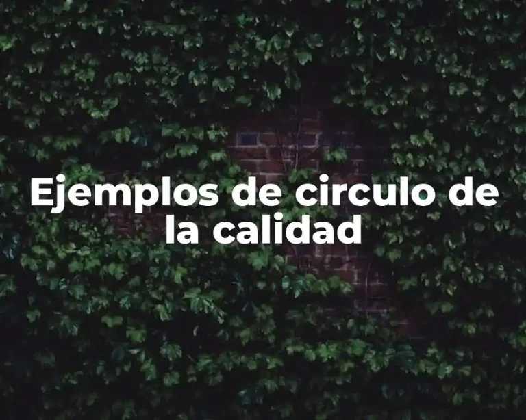 Ejemplos de circulo de la calidad