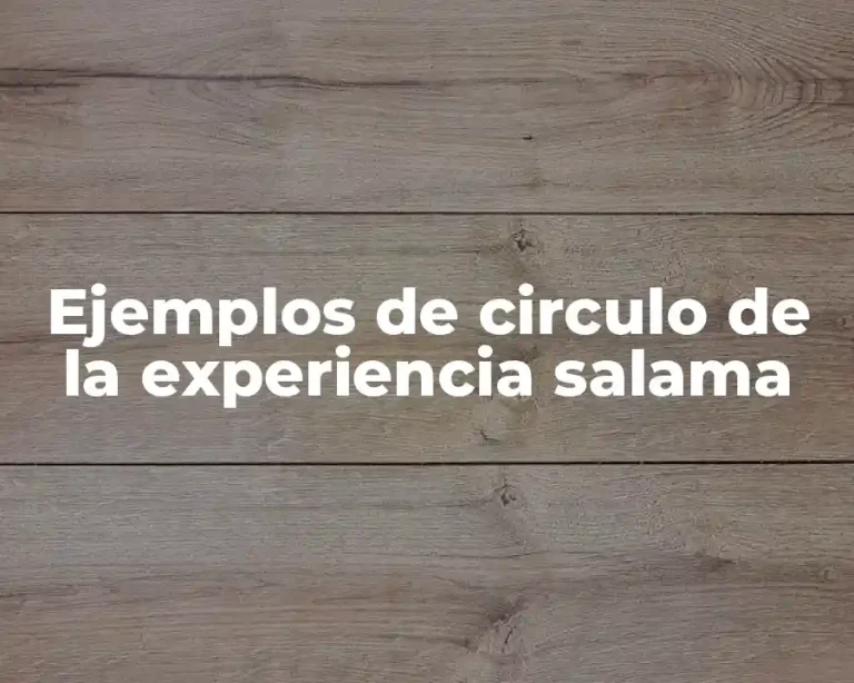 Ejemplos de circulo de la experiencia salama