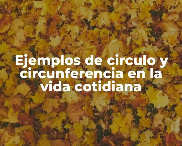 Ejemplos de circulo y circunferencia en la vida cotidiana
