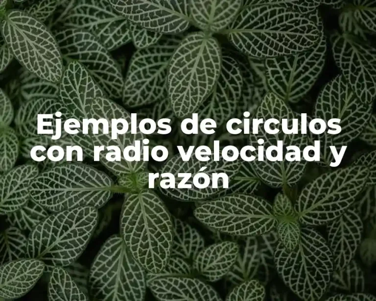 Ejemplos de circulos con radio velocidad y razón