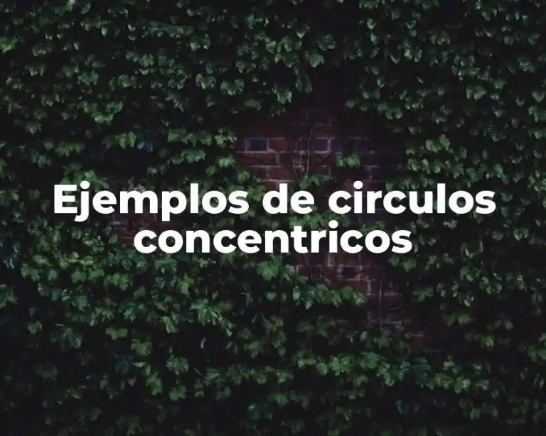 Ejemplos de circulos concentricos