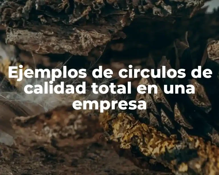 Ejemplos de circulos de calidad total en una empresa