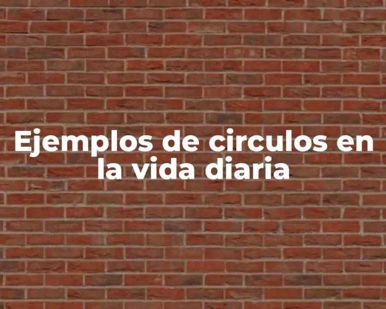 Ejemplos de circulos en la vida diaria
