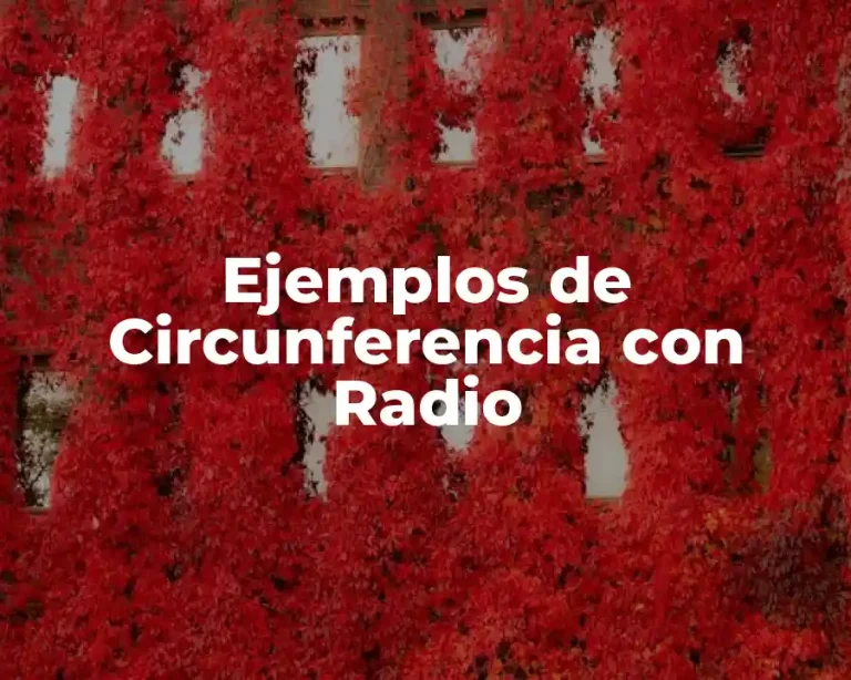 Ejemplos de Circunferencia con Radio