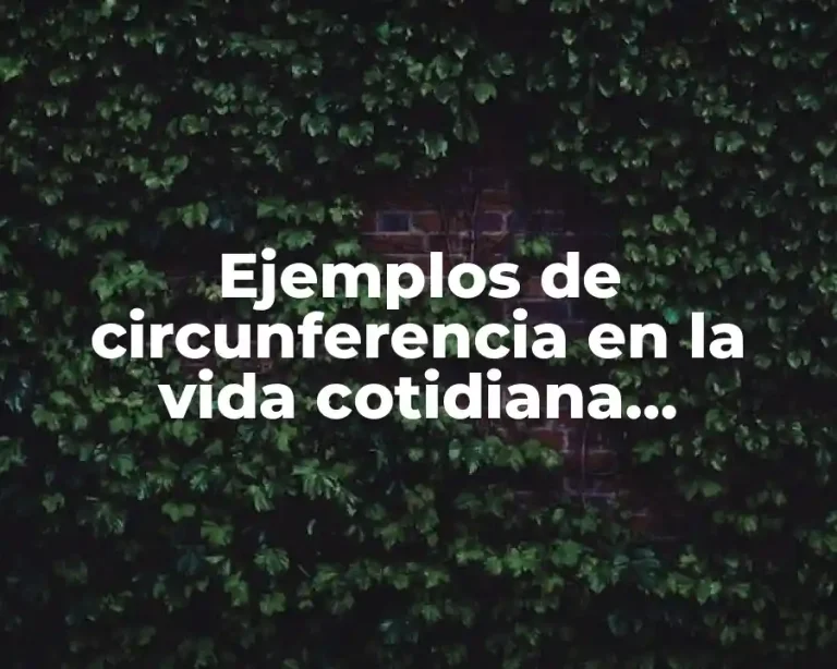 Ejemplos de circunferencia en la vida cotidiana problemas prácticos y Significado