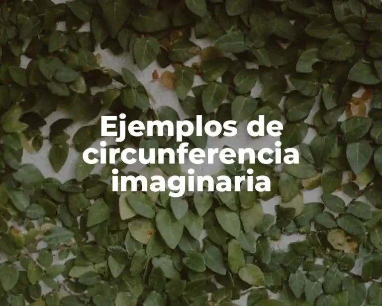 Ejemplos de circunferencia imaginaria