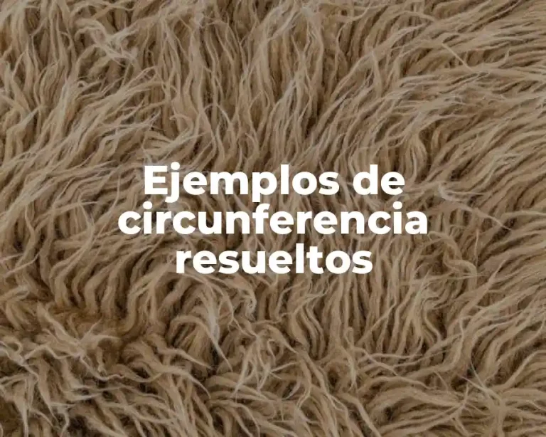Ejemplos de circunferencia resueltos