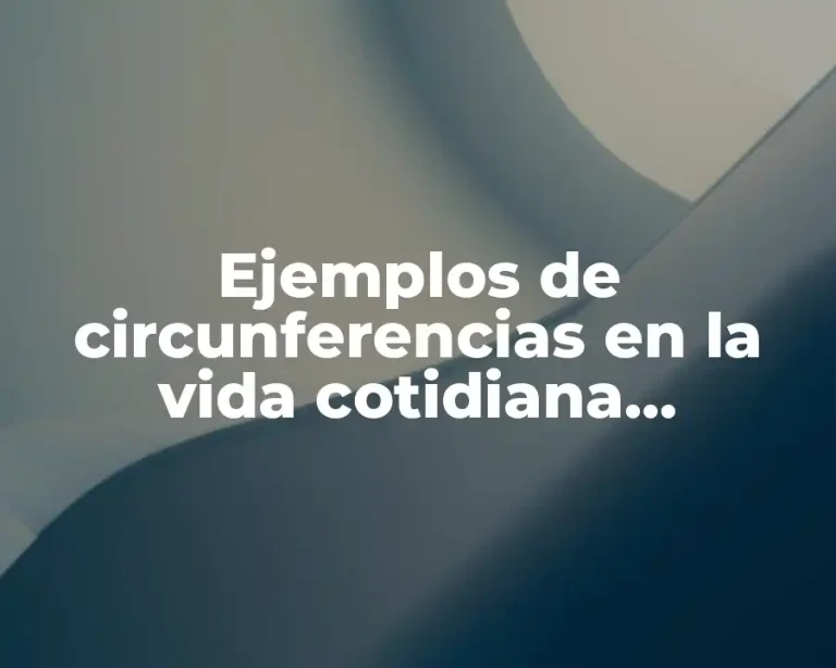 Ejemplos de circunferencias en la vida cotidiana naturaleza