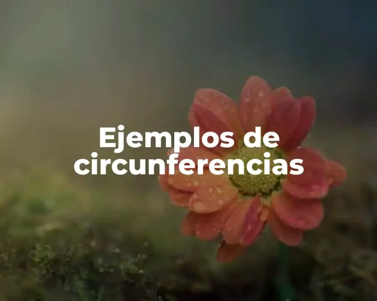 Ejemplos de circunferencias