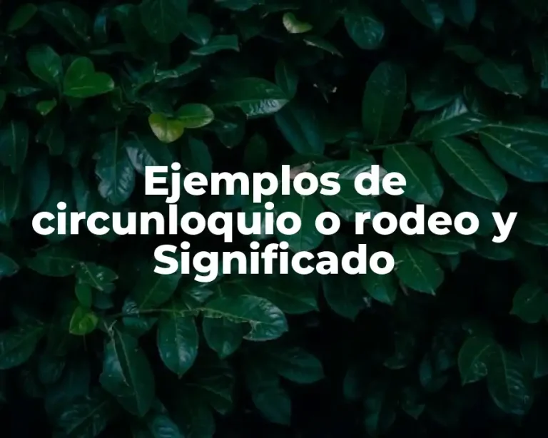 Ejemplos de circunloquio o rodeo y Significado