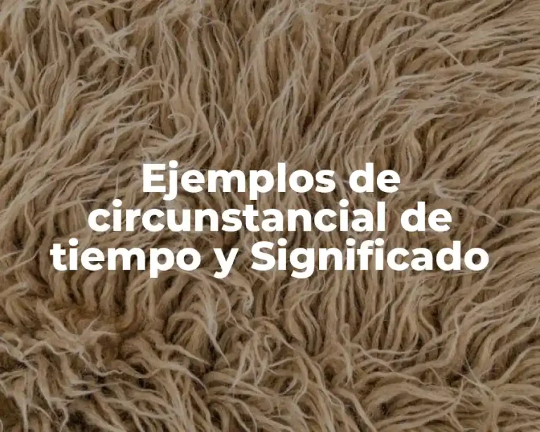 Ejemplos de circunstancial de tiempo y Significado
