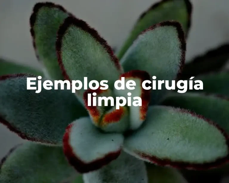 Ejemplos de cirugía limpia