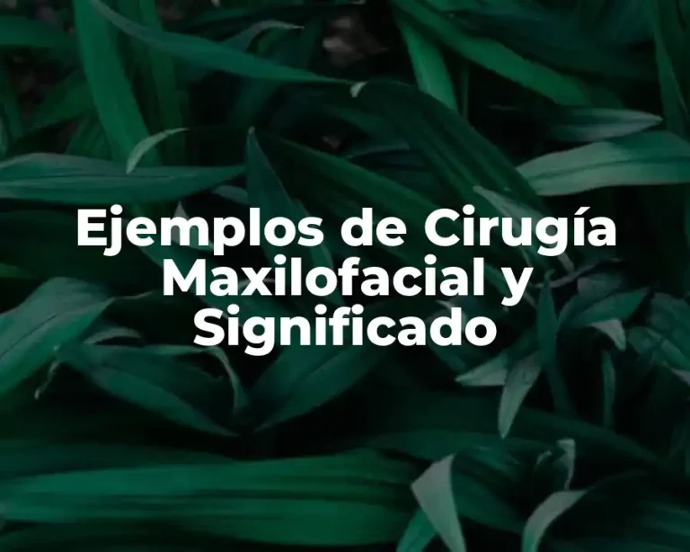 Ejemplos de Cirugía Maxilofacial y Significado