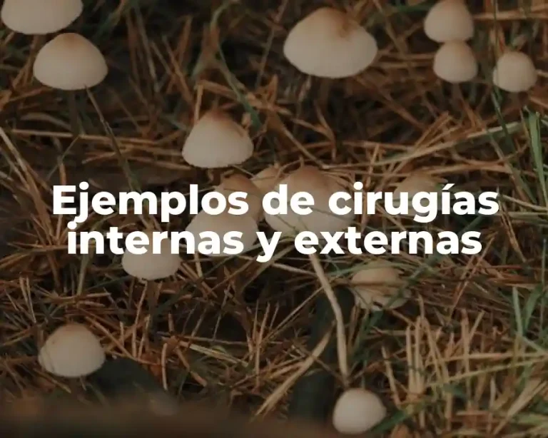 Ejemplos de cirugías internas y externas