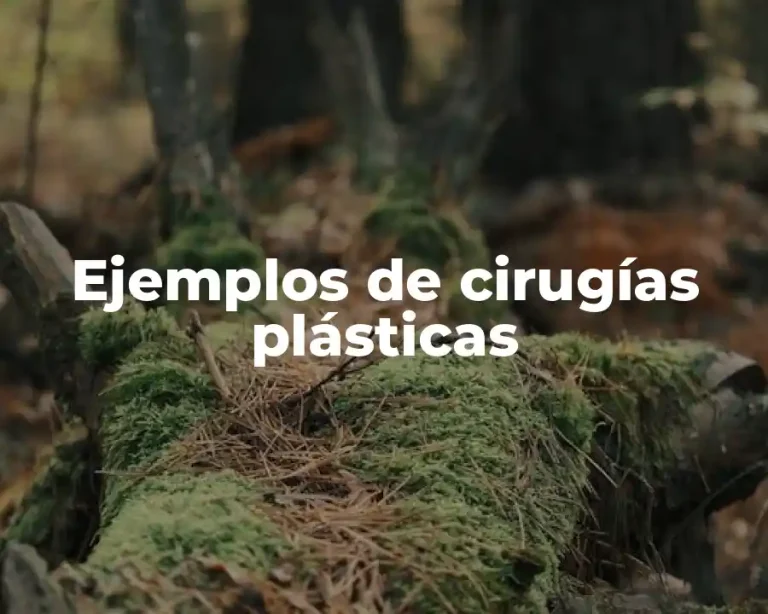 Ejemplos de cirugías plásticas