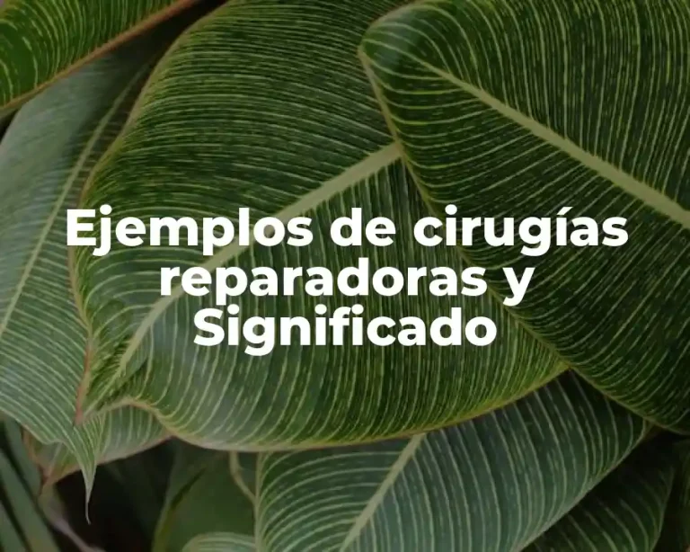 Ejemplos de cirugías reparadoras y Significado