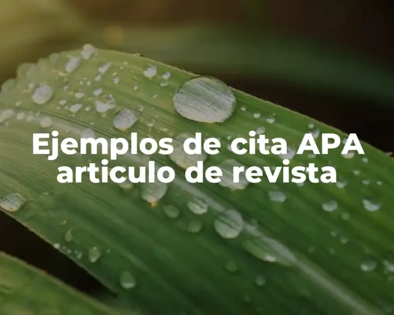 Ejemplos de cita APA articulo de revista