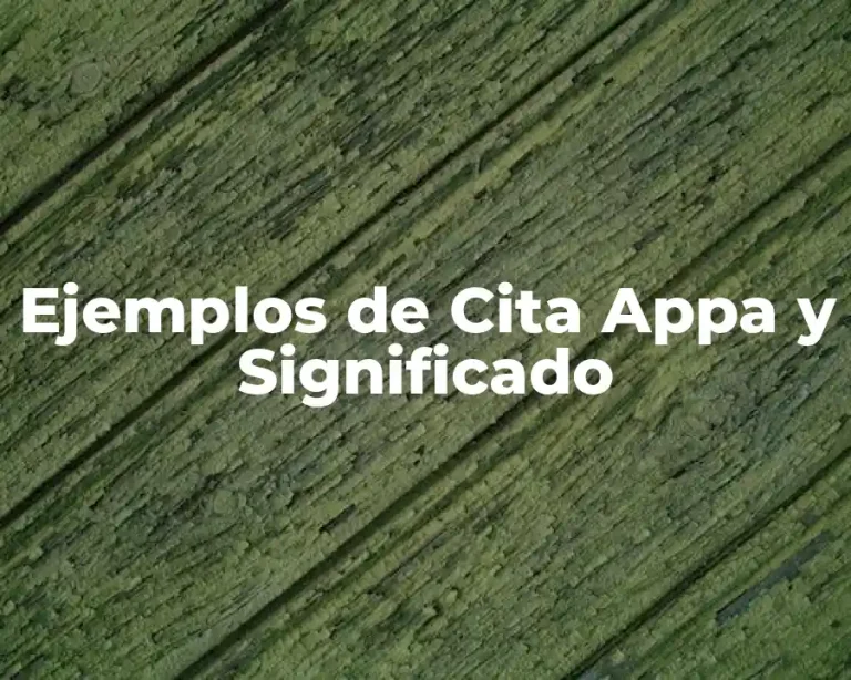 Ejemplos de Cita Appa y Significado