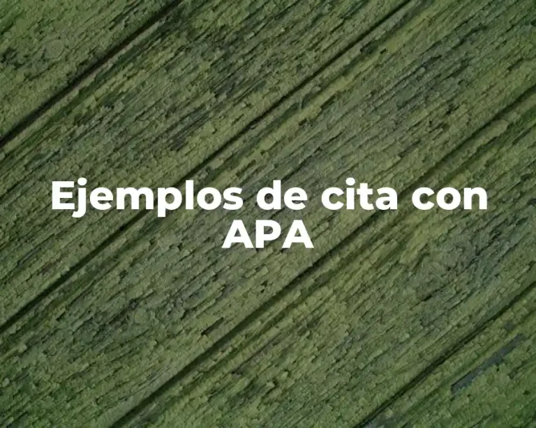 Ejemplos de cita con APA