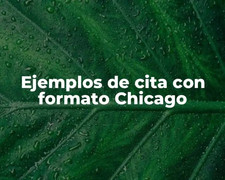 Ejemplos de cita con formato Chicago