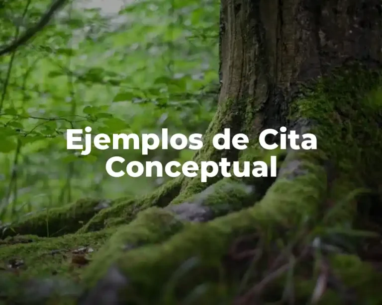 Ejemplos de Cita Conceptual