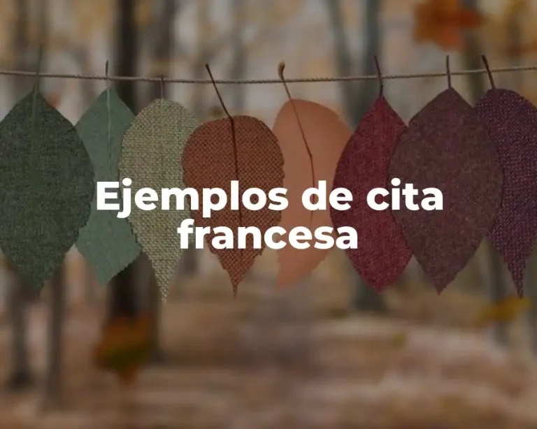 Ejemplos de cita francesa