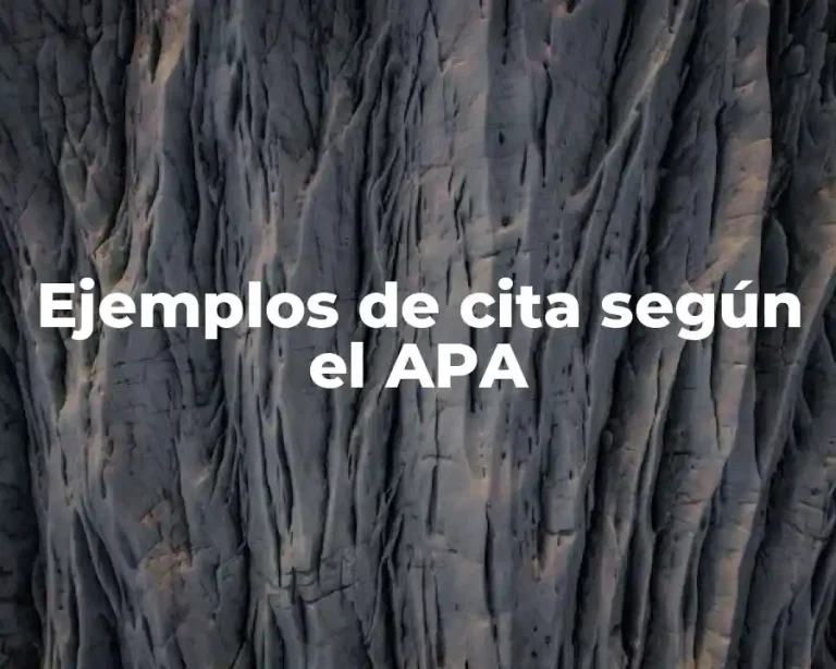 Ejemplos de cita según el APA