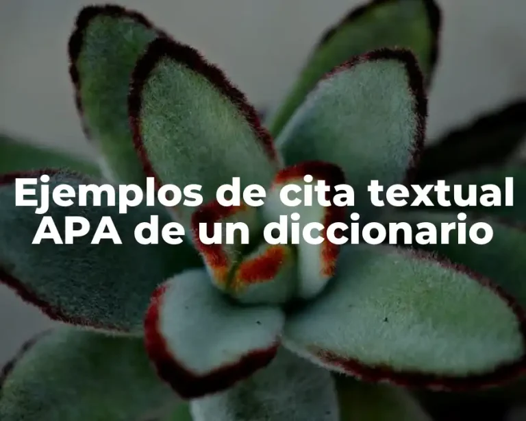 Ejemplos de cita textual APA de un diccionario