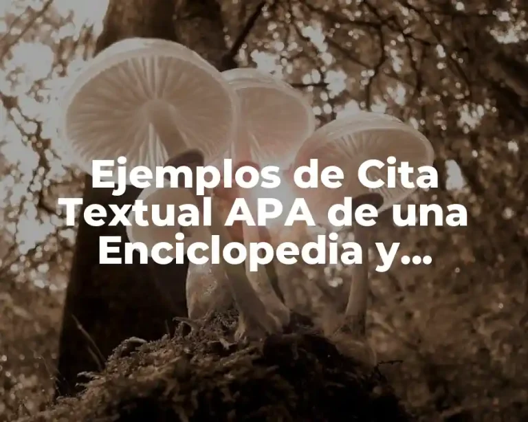 Ejemplos de Cita Textual APA de una Enciclopedia y Significado