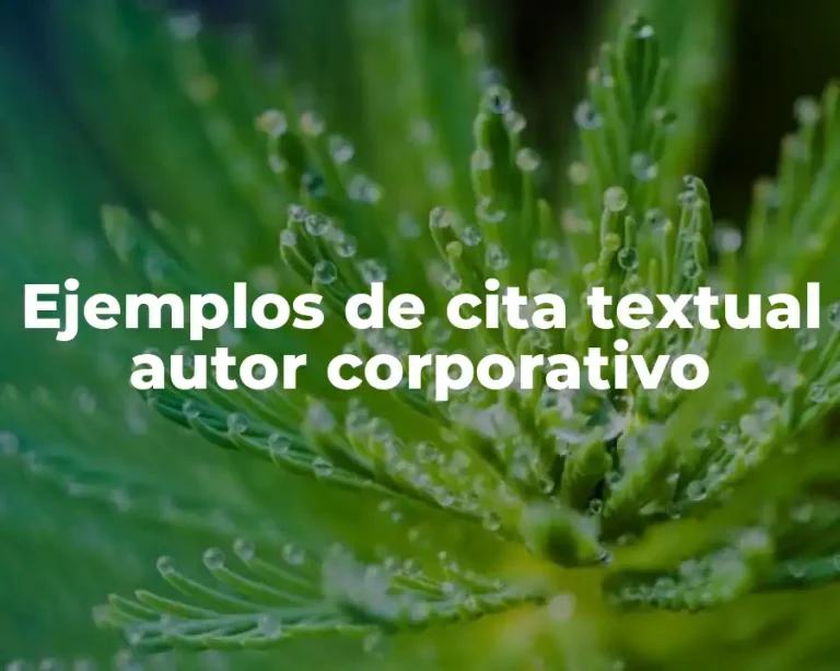 Ejemplos de cita textual autor corporativo