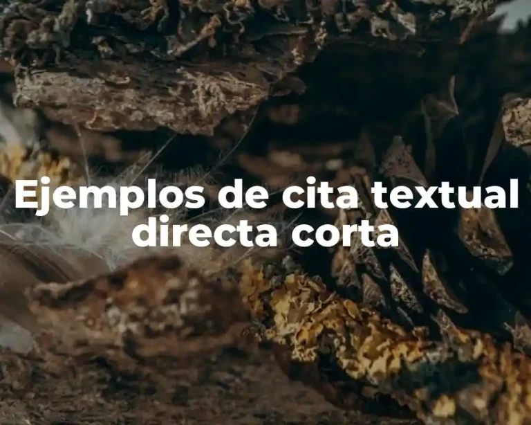 Ejemplos de cita textual directa corta
