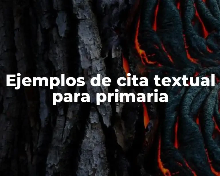 Ejemplos de cita textual para primaria