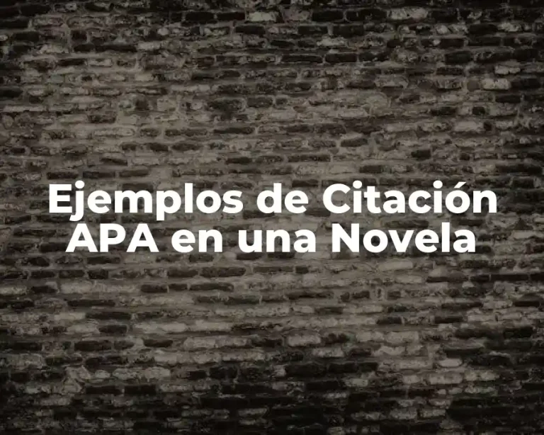 Ejemplos de Citación APA en una Novela