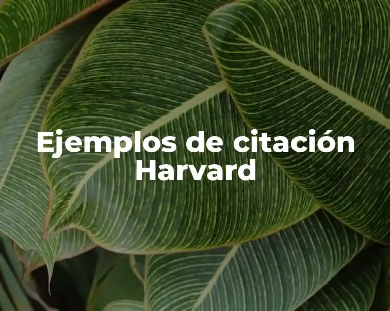 Ejemplos de citación Harvard