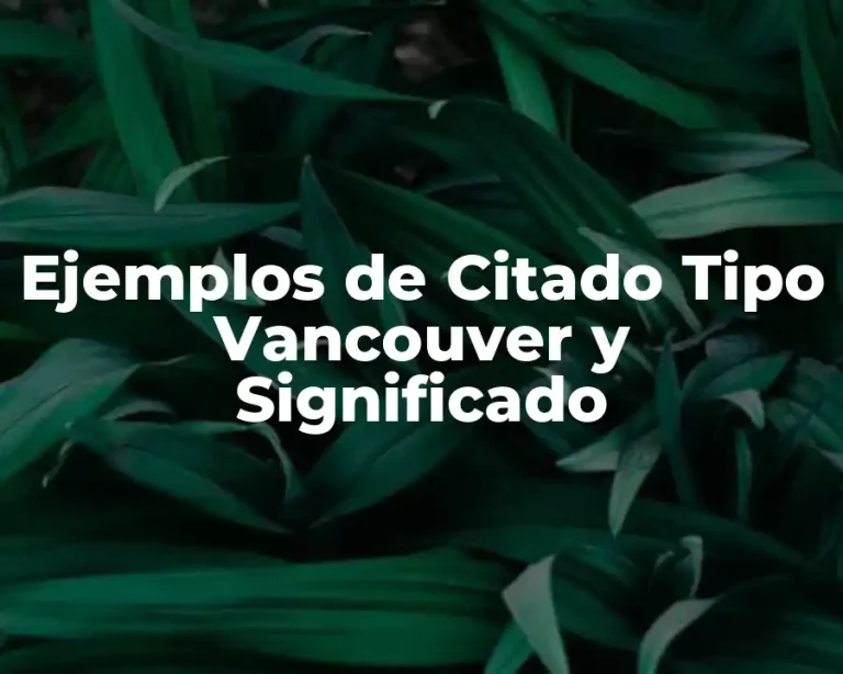 Ejemplos de Citado Tipo Vancouver y Significado