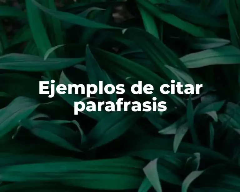 Ejemplos de citar parafrasis