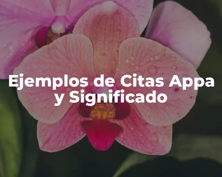 Ejemplos de Citas Appa y Significado