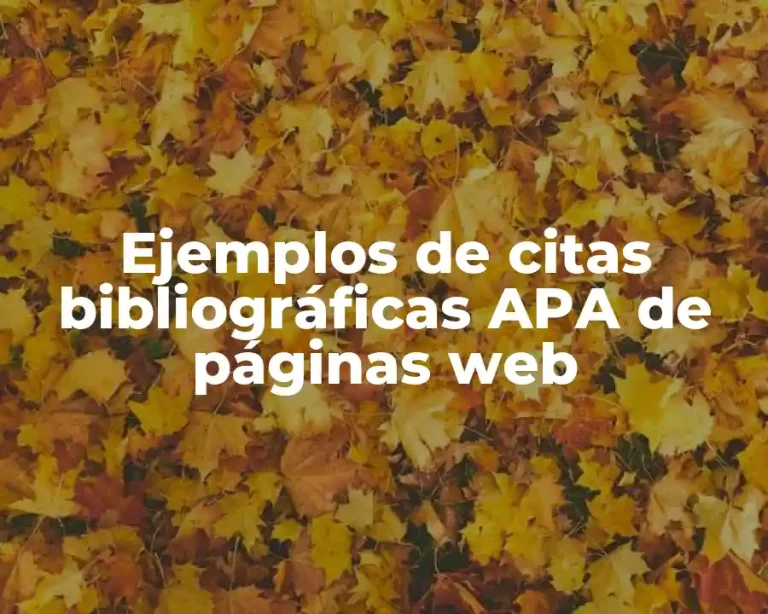Ejemplos de citas bibliográficas APA de páginas web