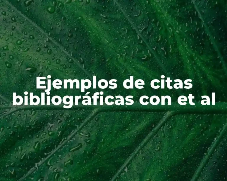 Ejemplos de citas bibliográficas con et al