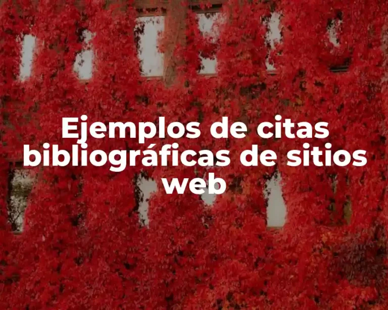 Ejemplos de citas bibliográficas de sitios web