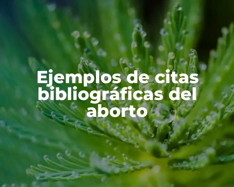 Ejemplos de citas bibliográficas del aborto
