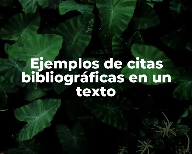 Ejemplos de citas bibliográficas en un texto