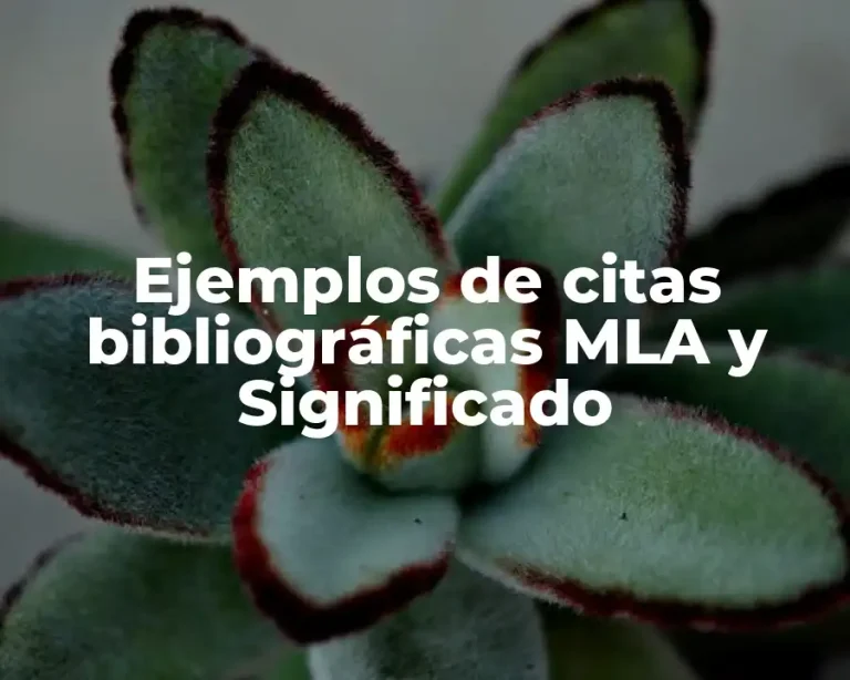 Ejemplos de citas bibliográficas MLA y Significado