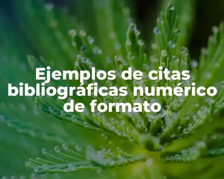Ejemplos de citas bibliográficas numérico de formato
