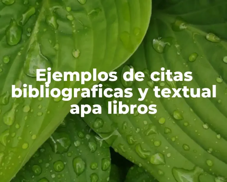 Ejemplos de citas bibliograficas y textual apa libros