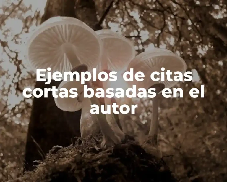 Ejemplos de citas cortas basadas en el autor