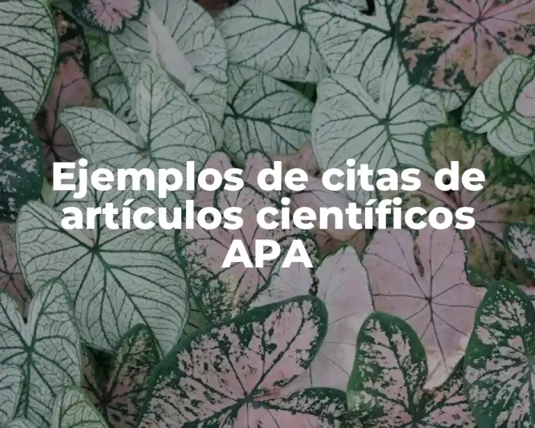 Ejemplos de citas de artículos científicos APA