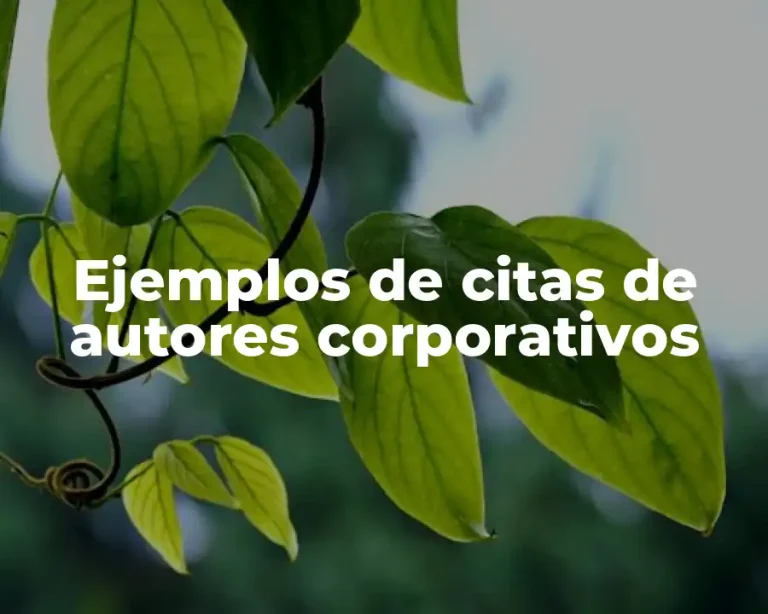 Ejemplos de citas de autores corporativos